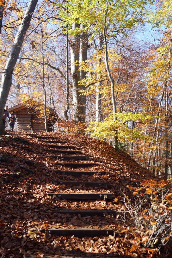 Gemuetliches Haus Mit Sauna Im Voralpenland Peißenberg Kültér fotó